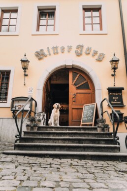 Ritter Jörg Sommerhausen | Historisches Hotel & Kulinarik